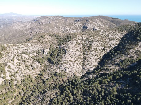 Santa Magdalena de Pulpis